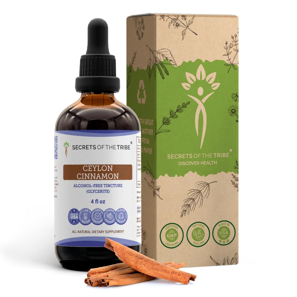 Secrets of the Tribe Ceylon Cinnamon Tincture Alcohol- Free Liquid Extract, Ceylon Cinnamomum Verum) Tørret Bark (4 FL OZ)