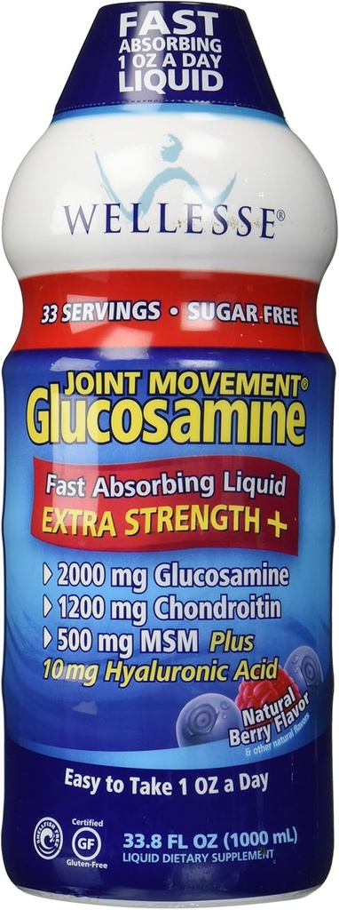 Wellesse fælles bevægelse Glucosamin Med Chondroitin & MSM 33,8 fl oz (1000 ml)