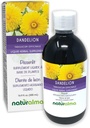 Naturalma Mælkebøtte (Taraxacum officinale) Rod og urt Alkohol- Gratis tinktur - 16,9 fl oz Flydende ekstrakt i drops - Urtetilskud - Vegan