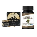ORGANISK SPREE Pure Himalayan Shilajit Resin & Mucuna Supplement - 20g & 120 tabletter - 85 + spor Mineral Fulvic Acid Resin & USDA Organic Mucuna Pruriens