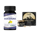 ORGANISK SPREE Gokshura & Himalayan Shilajit - USDA Organic Tribulus Terrestris 120 tabletter & 20g Resin med 85 + Trace Minerals - Understøtter energi og immunforsvar *