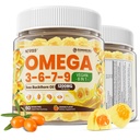Omega 3-6-7-9 Gummies, Organic Sea Buckthorn Oil 1200MG & Flaxseed Oil 500MG, Vegan Omega 7 Supplement w / vitamin A, C, E, fede syrer, Ingen fisk smag, understøtter hud, øje, immun, hjerne sundhed, 60 Cts