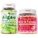 Bundle: Alger Omega 3 Gummies 1 Pack & Methyl B12 + L- methylfolfolat Gummies 1 Pack