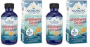 Nordic Naturals Children 's DHA Xtra, Berry Punch - 2 oz for Kids - 880 mg Total Omega- 3s med EPA & DHA - Kognitiv & immunfunktion, Learning, Social Development - Non- GMO - 48 Serveringer (Pack of 2)