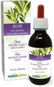 Naturalma Olive (Olea europaea) Leaf Alkohol- Free Tincture - 4 fl oz Liquid Extract in Drops - Herbal Supplement - Vegan