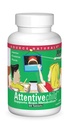 Source Naturals Attentive Child - Sunde kognitive næringsstoffer til aktive børn - Forbedret fokus og opmærksomhed med DMAE, Magnesium, Zink & Grape Seed Extract - 60 tabletter