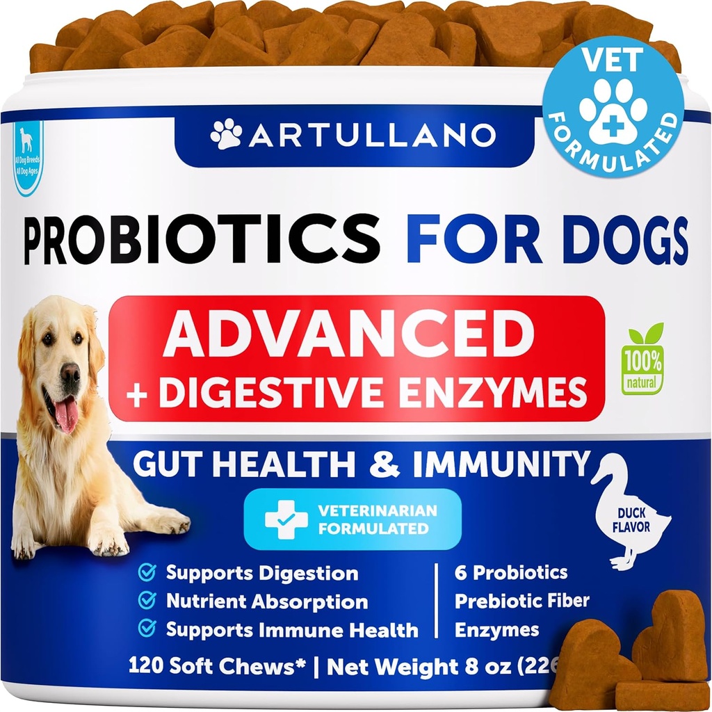 Probiotika til hunde - Support Gut Health, Itchy Skin, Allergier, Immunitet, Yeast Balance - Hundeprobiotika og fordøjelsesenzymer med Prebiotika - Reducere Diarré, Gas - 120 Probiotiske Tyre til hunde