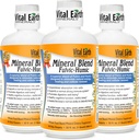 Vital Earth Minerals Fulvic Humic Mineral Blend Liquid 3- Pack - Fulvic Acid Supplement med 70 + Trace Minerals, Electrolytes for Recovery, Balance & Energy, 32 Oz Ea + 1 Oz Cup Ea