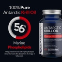 100% Pure Krill Oil 1000MG 120- Day Supply Double Strength 56% Phospholipider Astaxanthin Sustaxanthin Sustaxanthin Antarktis SuperbaBoost Omega 3 EPA DHA Heart Brain Skin Care, Third-Party Testet, Ingen Fish Oil