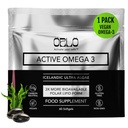 Orlo Vegan Omega 3 Algae Oil 1000mg - Natural Icelandic Nordic Omega-3 EPA & DHA Supplement - Fish Oil & Krill Alternative for Heart & Brain – 60 Easy-to-Swallow Burpless Mini Softgels