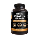 Pure Original Ingredienser Boswellia Serrata (365 kapsler) Ingen Magnesium eller Rice Fillers, Altid Pure, Lab Verified