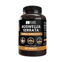 Pure Original Ingredienser Boswellia Serrata (365 kapsler) Ingen Magnesium eller Rice Fillers, Altid Pure, Lab Verified