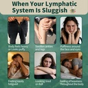 Lymphatic Drainage Supplement – Natural Herbal Formula with Dandelion, Burdock & Echinacea, Supports Fluid Balance, Immune Health & Cellulite Reduction – 60 Capsules
