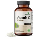 Futurebiotics Vitamin C 500mg Non-GMO, 250 Tablets
