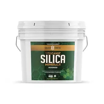 Volcanic Silica Minerals Mikronized- 10 lbs
