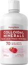 Piping Rock Kolloide Minerals Flydende 124; 32 fl oz