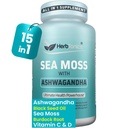 Herbtonics Sea Moss, Black Cumin Seed, Ashwagandha, Burdock Root & ACV Complex | Manage Immunity, Stress & Digestion Support | 60 Capsules (2 Capsules Per Serving)