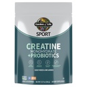 Kreatin monohydrat pulver til kvinder og mænd af Have of Life, Mikroniseret Pre Workout med Probiotika til muskel, Styrke, ydeevne, Sport Amino Energy, Omkring 60 Let at blande Unflavored Serveringer