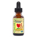 Børn Echinacea for børn - Kids Echinacea Drops, Flydende tinktur, Alkohol Free Supplement for babyer, Toddlers, Børn - Natural Orange, 1 Fl Oz (Pack of 1)