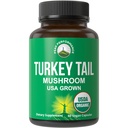 Peak Performance Organic Turkey Tail Capsules - USA Grown Made with Real Turkey Tail Mushroom. Immunsystemet støtte naturligt Høstede Mushroom Kosttilskud til immunitet. Vegansk supplement-ekstrakt