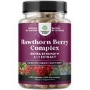 Høj styrke Hawthorn Berry Kapsler - Pure Antioxidant Hawthorn Berry tillæg med Leaf & Flower Extract 4: 1 for sund hjerte & fordøjelse - Energistøtte til mænd og kvinder - 240 Count Pack