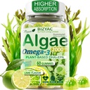 Algae Gummies, Omega 3 Gummies 2200mg from Algae Oil | DHA 640mg & EPA 290mg| Vegan | for Women & Men | CoQ10 | Astaxanthin | Vitamin A, E, D3 for Brain, Eye, Antioxidant, Sugar Free, 1Pack