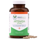 Artemisia Trinity Note 124; Cleansering for voksne med Wormwood Herb & Artemisinin 30: 1 Uddrag af 124; Modstands & fordøjelsesstøtte
