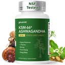 GlowEver KSM-66 Ashwagandha Supplements with L-Theanine Moringa Organic Mushrooms Complex Ginseng Ginkgo Biloba - Mood & Energy Support, Cortisol Manager, Immune Support, 60 Vegan Capsules