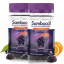 Sambucol Black Elderberry Gummies med C-vitamin & Zink - Sambucus Elderberry Gummies til immunforsvar, High Antioxidants, Gluten Free, Vegan, Elderberry med Zink & C-vitamin - 30 Greve, 2 Pack