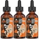 Liposomal Mushroom Complex Drops 2000 MG - 20 Organic Mushroom Extracts - Advanced Liquid Formel for Immunity, Cognitive and Memory - Lions Mane Supplement, Reishi, Cordyceps, Chaga, 90 Servering