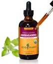 Herb Pharm Ashwagandha, Alcohol Free: Organic Liquid Extract | Traditional Stress Support Supplement, Vegan Ashwagandha Root Glycerite, Adaptogen Extract for Adults | Up to 12 Week Supply, 4 oz*