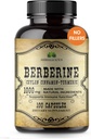 Berberine kapsler Ceylon kanel & gurkemeje - Berberine HCL Kosttilskud til mænd og kvinder - Ikke GMO Berberine 1000mg - Ideel til immunforsvar, hjerte, Cholesterol Niveau
