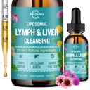 Liposomal Lymphorous Drainage Drops, lever rense Detox & Reparation Flydende tillæg med mælk tidsel, Mælkebøtte, Mælkebøtte, Burdock Root & Echinacea - Lymph & Lever Detox, Antioxidant, Natural Flavor 2 Fl Oz
