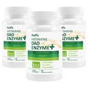 DAO Kosttilskud Histamine Blocker - DAO Enzyme + Diaminoxidase & Quercetin, Immortelle, C-vitamin til Gut Sundhed og Fødevarestøtte 180 kapsler