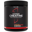 Regel 1 Proteins Charged Creatin - Multi- Function Workout Supplement med Creatin, Electrolyte, og energiblandinger til Intensity, Performance, & Hydration Support (30 Serveringer, Mandarin Mango)