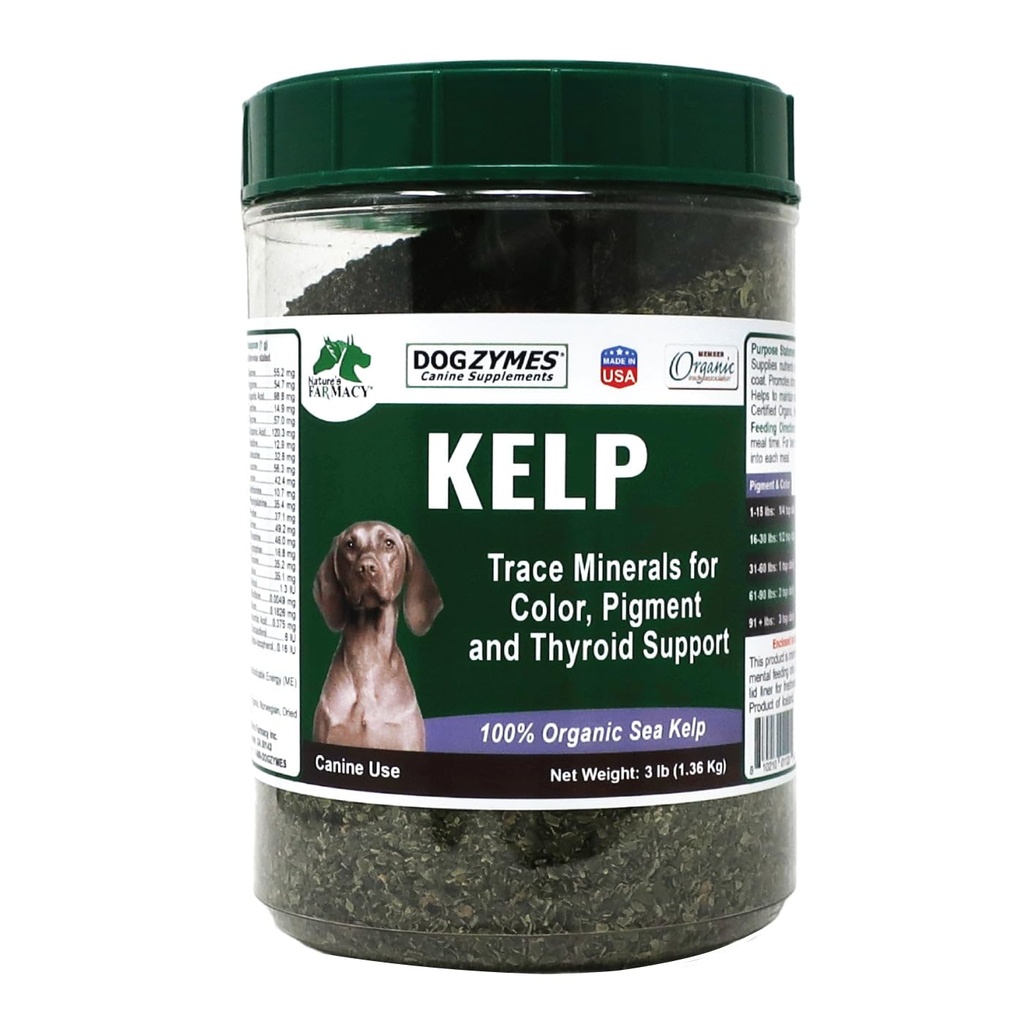 Dogzymes Organic Norwegian Kelp for Kæledyr, en Værdifuld Nutrition Kilde rig på jod til støtte Gland Funktion, især Thyroid (3 Pund)
