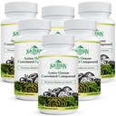 Active Hexose Correlated Compound 1500 mg Supplement, Natural 8 Mushroom Extract Supplement, Immunsystem, Leverfunktion, Natural Killer og T celler Aktivitet, 540 Veggie Kapsler