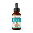 Guava Leaf Extract - Økologiske Guava blade - Hojas de Guayaba for Sundhed & Wellness, immunforsvar, hår, hud og negle Supplement: 124; Non- GMO 'er