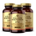 Solgar Calcium Magnesium Plus Zink, 100 tabletter (pakke med 3) - fremmer sunde knogler og tænder - understøtter nerve & muskel funktion - non-GMO, Vegan, Gluten Free, Dairy Free, Kosher - 100 Total Servering