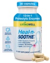 HEAL-N-SOOTHE Proteolytic Systemic Enzymes – Joint Supplement with Bromelain, Papain, Boswellia – Joint Mobility, Muscle Flexibility, Protein Digestion, Circulatory & Immune Health - 90 Count (1 Pack)