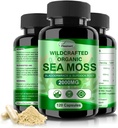 Irish Sea Moss Capsules 120ct Raw Sea Moss Wildcrafted Bladderwrack Burdock Root Capsules Super Food immunsystem fordøjelsesfremmende sundhed Sea Moss Pills