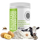 Intestinal Fortitude Boostet Colostrum Superfood Kosttilskud: Grass- Fed New Zealand Bovin Colostrum, Guld Kiwifruit, Manuka Honey, for fordøjelse, immunsystem, og Gut Sundhed (150 Bedste)