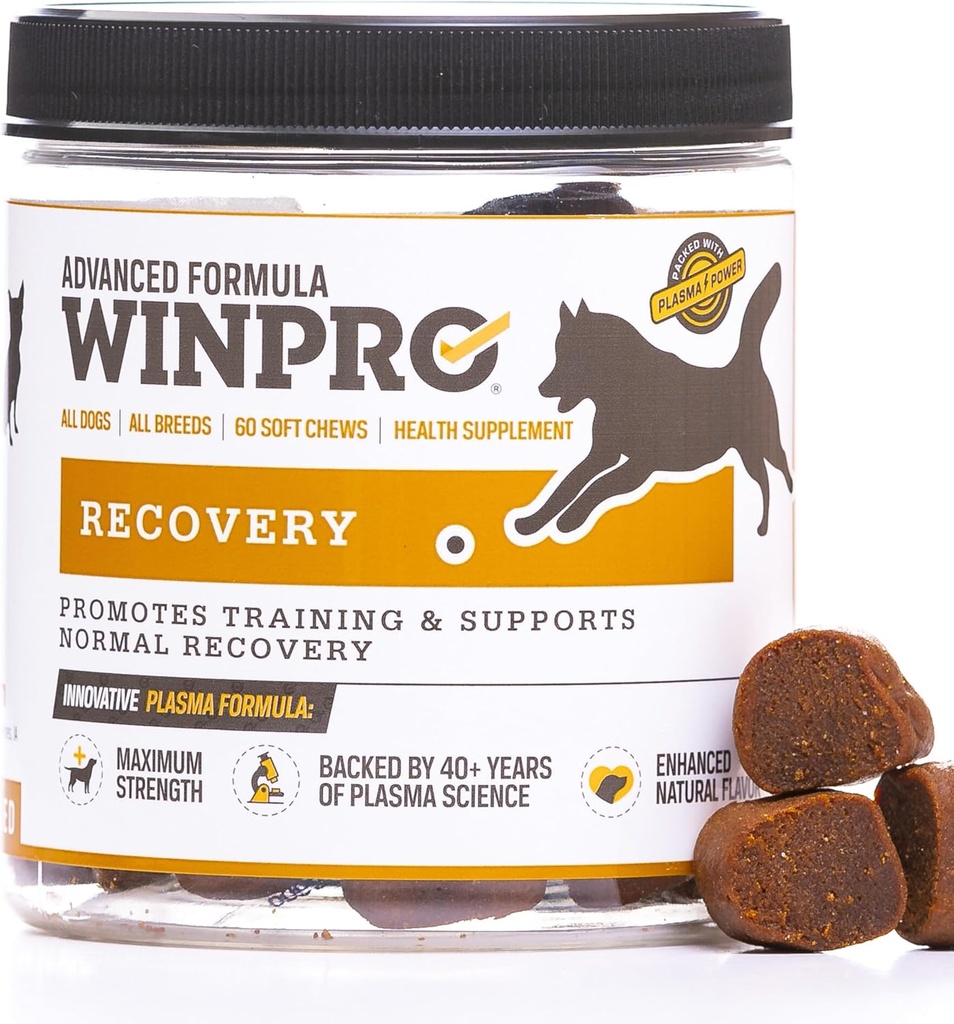 WINPRO Inddrivelse Chews for hunde, Plasma- drevet for aktive hunde, immunsystemet støtte, og hund uddannelse støtte til konkurrence og Sport Muskel Inddrivelse og Agility, 60 Greve, Made in USA