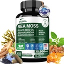 16-in-1 Organic Sea Moss Gel Alternative Capsules – Superfood Blend with Ashwagandha, Black Seed Oil, Turmeric, Bladderwrack, Burdock, Elderberry, Manuka, Dandelion, Yellow Dock, Vitamin C & D3