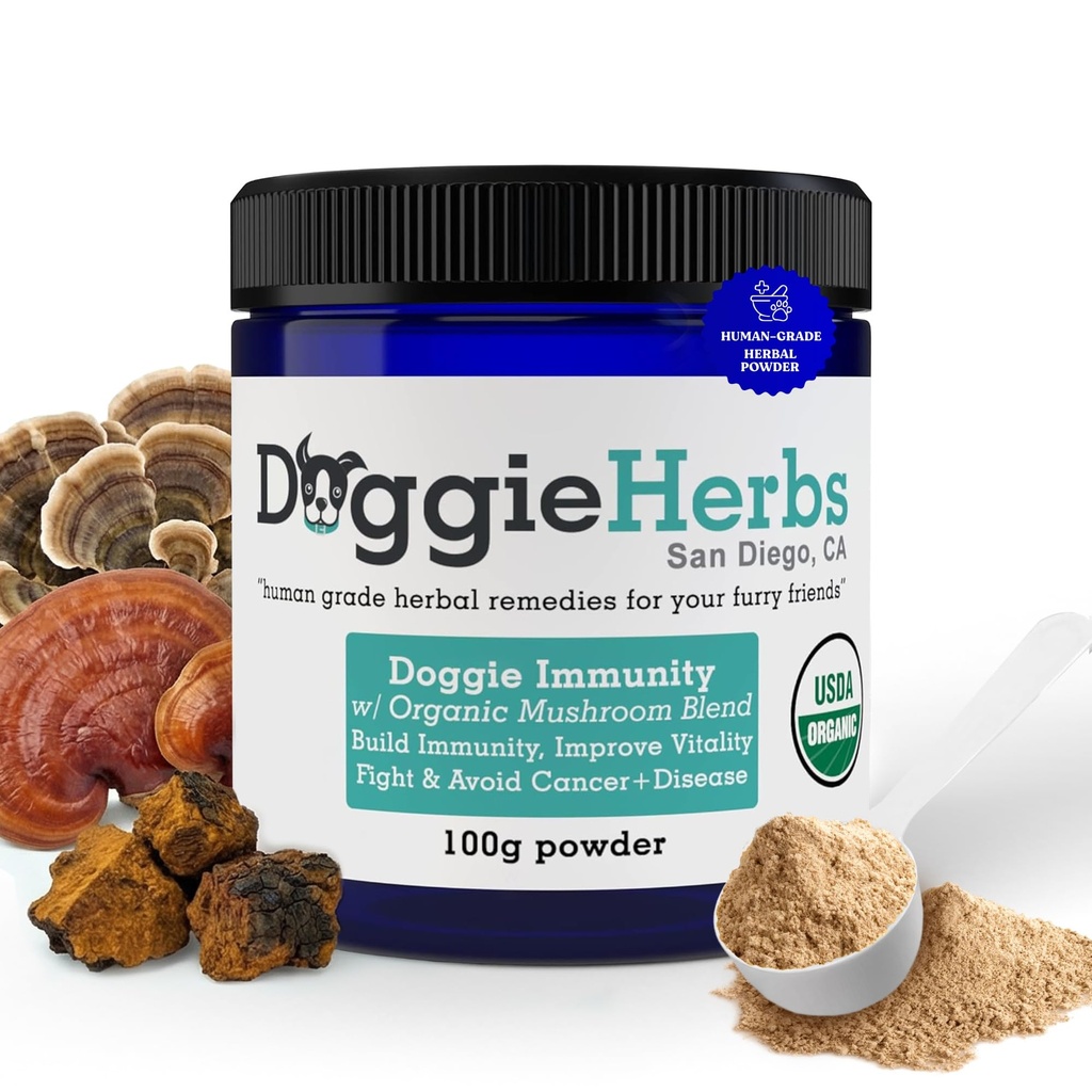 Certificeret Økologisk Immunitet champignon mix til hunde, 22,3% Beta glucan til hunde sundhed & Immunity Boost hund supplement urtepulver w / Scoop - 100g
