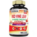 Red Vin Leaf Extract Kapsler - med hest Chestnut, Beet Root, Ingefær - Urtetilskud til hjerte, ben Vein & energi - 90 Veganske Kapsler til 45 dage