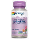 SOLARAY Turmeric Supplement 300 mg - Turmeric Root Extract with 95% Curcumin - Joint Support Supplement for Joint Health and Comfort - Non-GMO, Vegan, Gluten Free, 60-Day Guarantee, 120 Servings