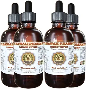 Lemon Thyme Liquid Extract, Lemon Thyme (Thymus Citriodorus) Tørret blade tinktur Supplement 4x4 oz