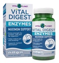 Vital Planet – Vital Digest Natural Digestive Enzymes Supports Breakdown of Proteins, Fats, and Carbohydrates and Reduces Occasional Gas, Bloating and Indigestion 90 Capsules (Packaging May Vary)