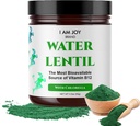 I Am Joy co. Water Lentil Protein Powder with Chlorella, Plant Based Vegan Duckweed, Rich in Natural B12 Vitamin, Non GMO, Gluten Free, Sugar Free, Sustainably Grown, 3.3 oz ( 93g) Jar